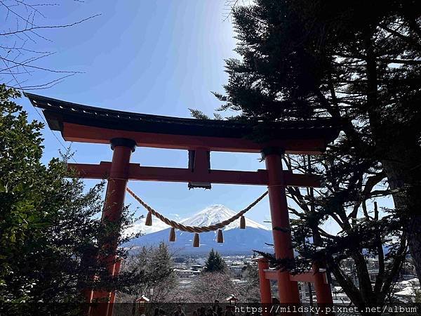 [2025春‧東京]3/7富士山一日遊+東京都廳夜景