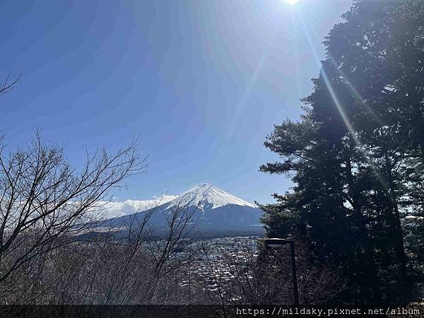 [2025春‧東京]3/7富士山一日遊+東京都廳夜景