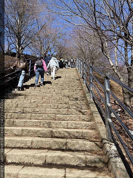 [2025春‧東京]3/7富士山一日遊+東京都廳夜景