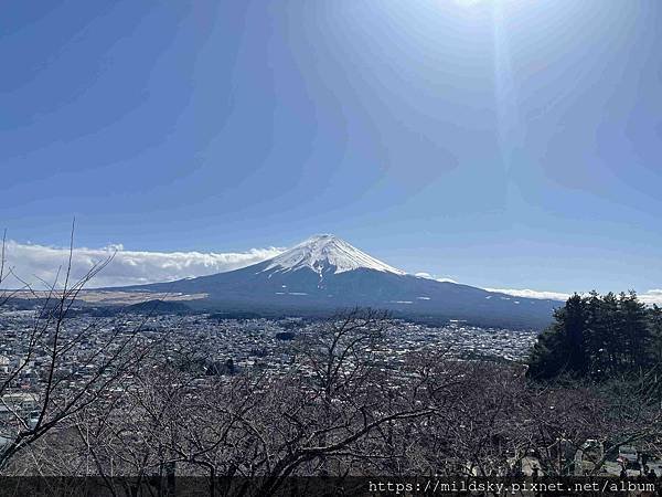 [2025春‧東京]3/7富士山一日遊+東京都廳夜景