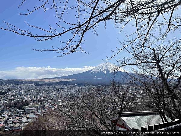 [2025春‧東京]3/7富士山一日遊+東京都廳夜景