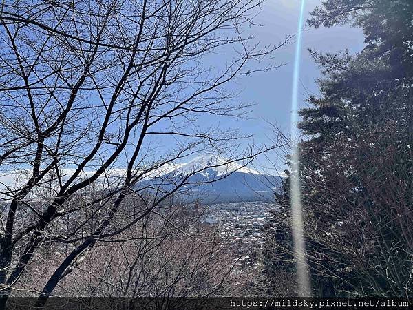 [2025春‧東京]3/7富士山一日遊+東京都廳夜景