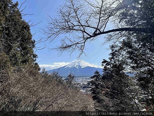 [2025春‧東京]3/7富士山一日遊+東京都廳夜景