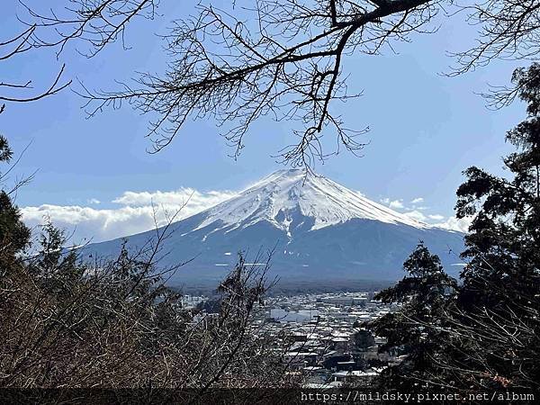 [2025春‧東京]3/7富士山一日遊+東京都廳夜景