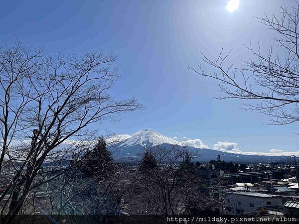 [2025春‧東京]3/7富士山一日遊+東京都廳夜景