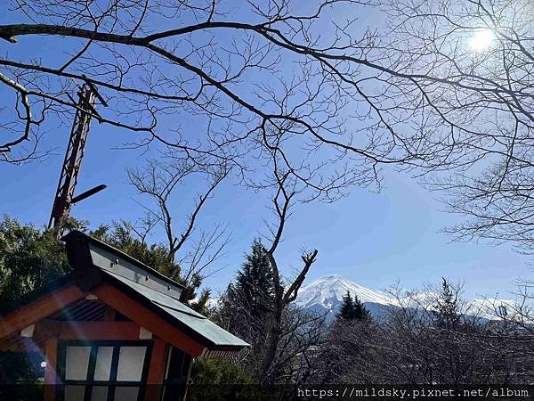 [2025春‧東京]3/7富士山一日遊+東京都廳夜景