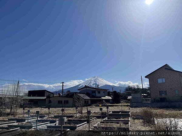 [2025春‧東京]3/7富士山一日遊+東京都廳夜景