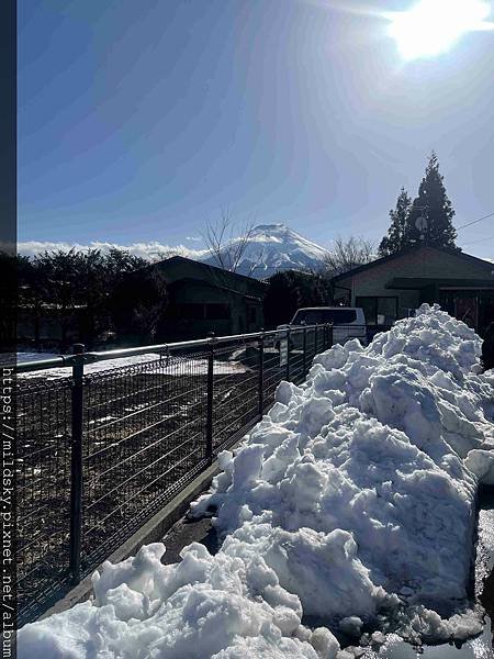 [2025春‧東京]3/7富士山一日遊+東京都廳夜景