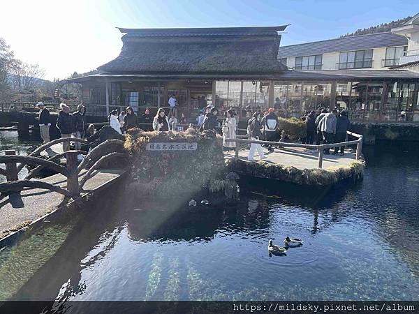 [2025春‧東京]3/7富士山一日遊+東京都廳夜景