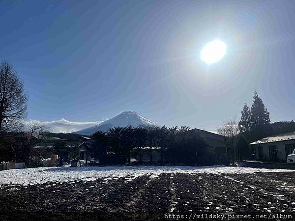 [2025春‧東京]3/7富士山一日遊+東京都廳夜景