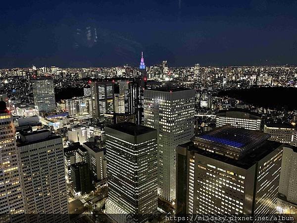 [2025春‧東京]3/7富士山一日遊+東京都廳夜景