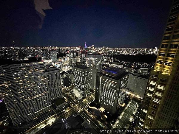 [2025春‧東京]3/7富士山一日遊+東京都廳夜景