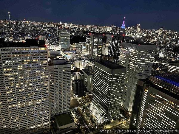 [2025春‧東京]3/7富士山一日遊+東京都廳夜景