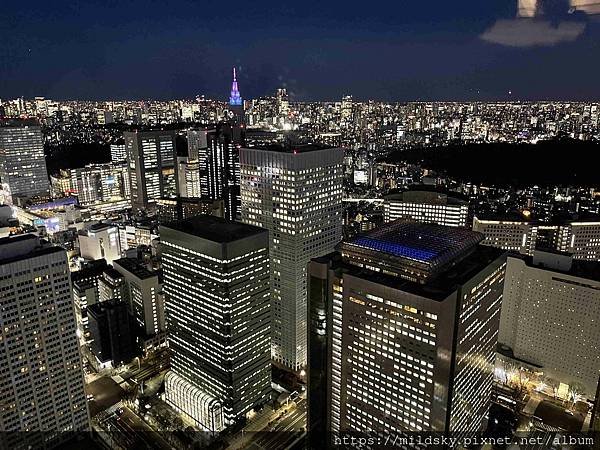 [2025春‧東京]3/7富士山一日遊+東京都廳夜景