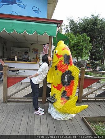 魚飼料販賣機