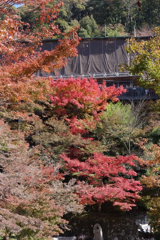 DSC01208.JPG
