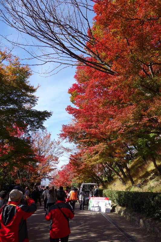 DSC01211.JPG