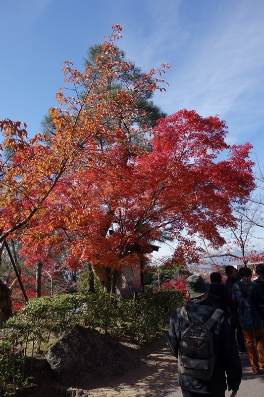 DSC01224.JPG