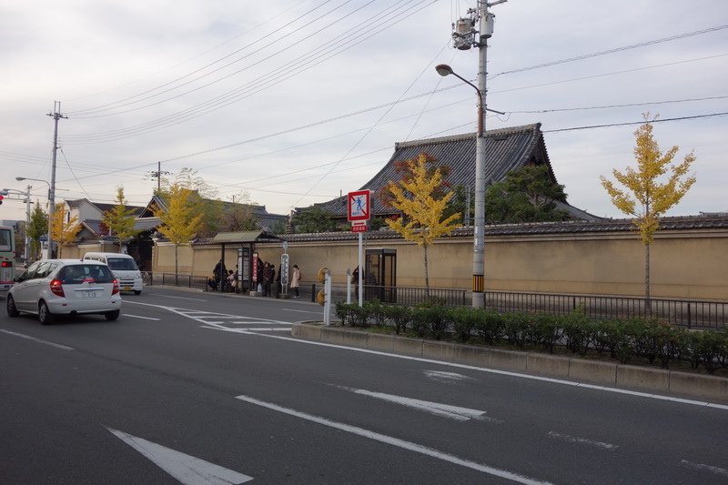 DSC01342.JPG
