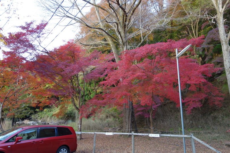 DSC01374.JPG