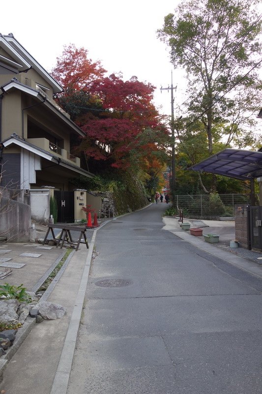 DSC01380.JPG