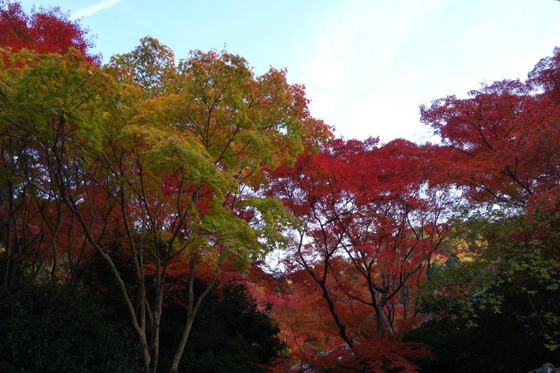 DSC01384.JPG
