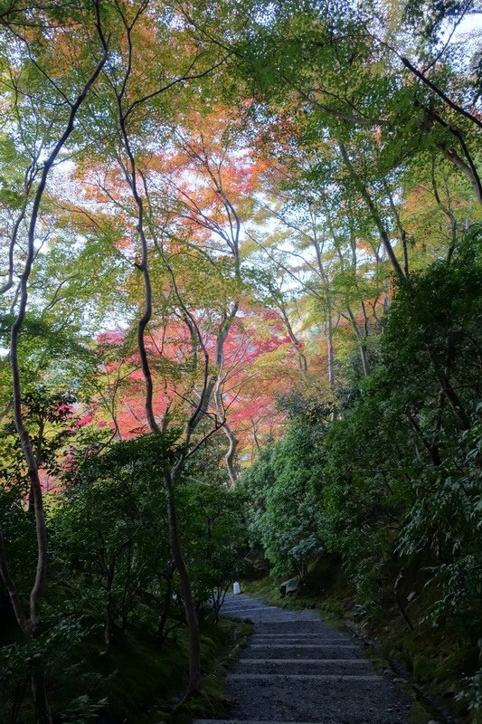 DSC01401.JPG