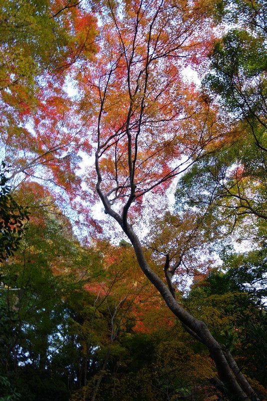 DSC01390.JPG