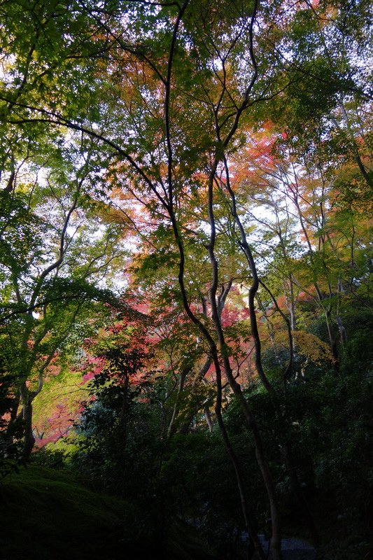 DSC01394.JPG