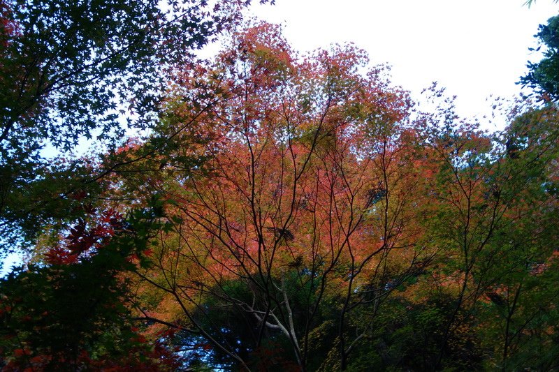 DSC01408.JPG