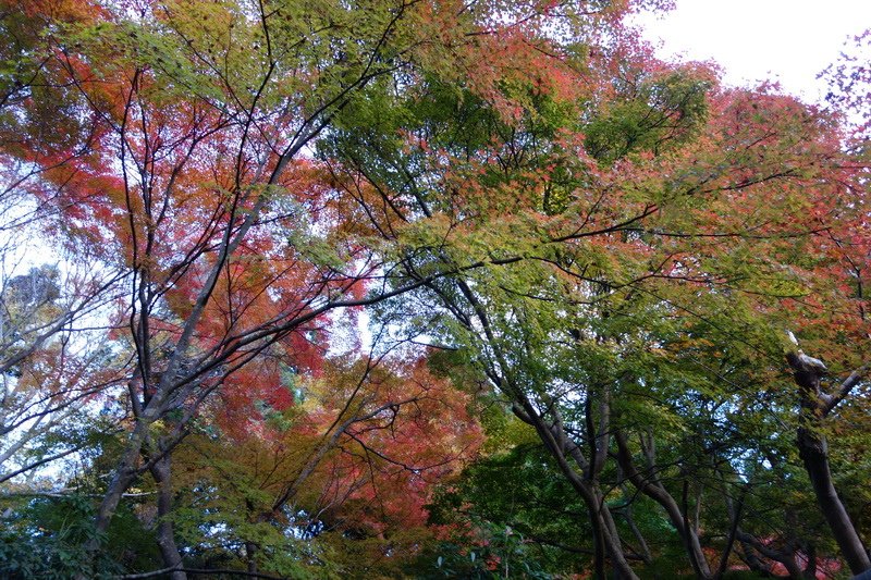 DSC01441.JPG