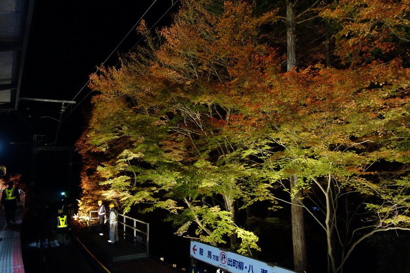 DSC01486.JPG