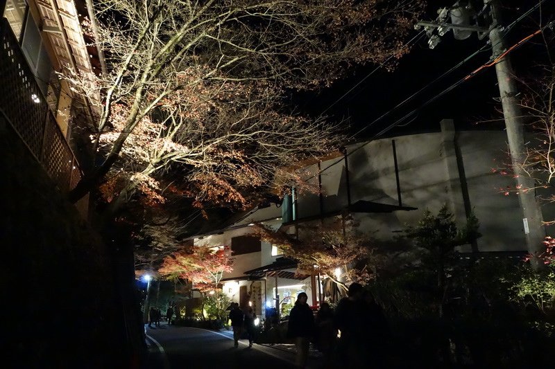 DSC01511.JPG