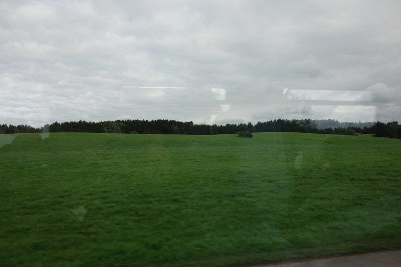 DSC08750.JPG