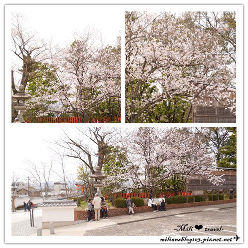 P1240718_副本.jpg