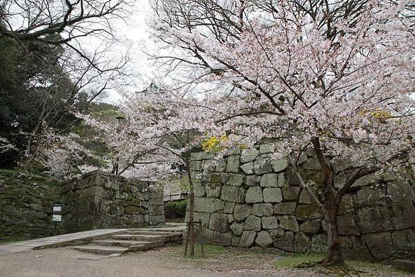 和歌山城 (139).JPG
