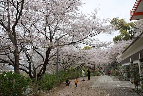 紀三井寺 (101).JPG