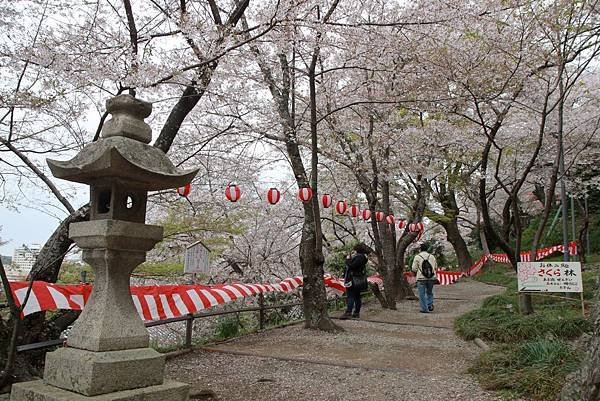 紀三井寺 (103).JPG