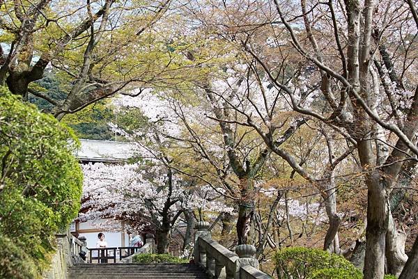 清水寺