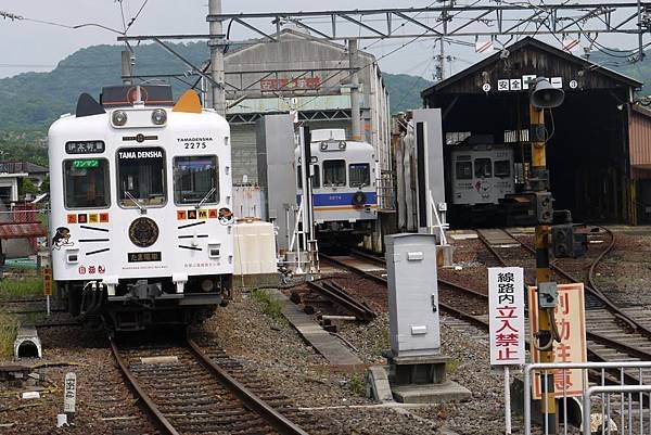 小玉貓電車