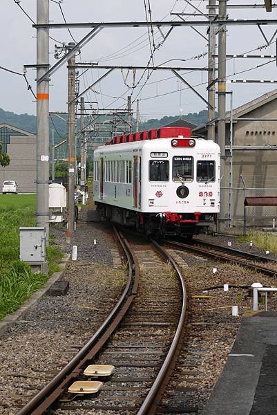 小玉貓電車