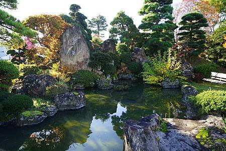 南田温泉蘋果園和紅楓