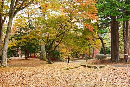 見晴公園 (271)