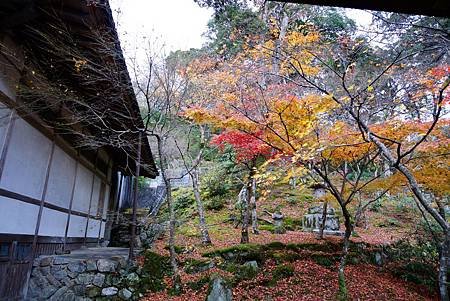 光明禪寺 (162)