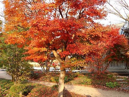 光明禪寺 (47)