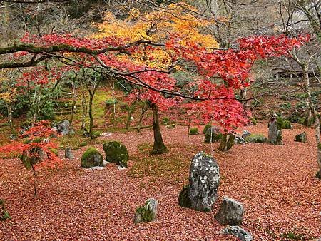 光明禪寺 (53)