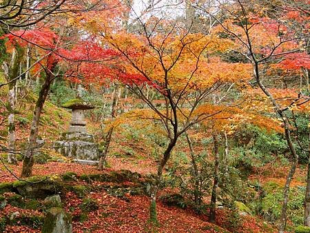 光明禪寺 (62)