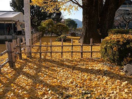 熊本城 (182)