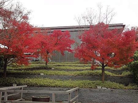 平等院 (59)