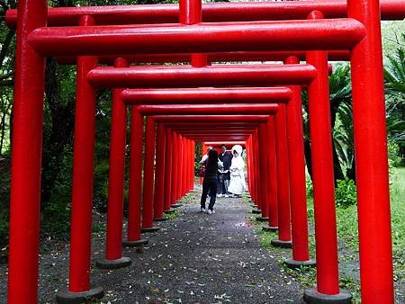 宮崎神宮 (11)